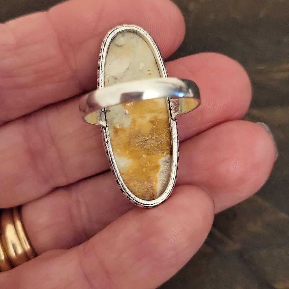 NWOT Agate Gemstone Silver Ring